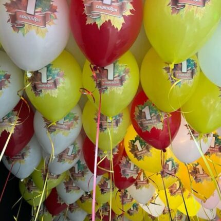 Шары 1 сентября