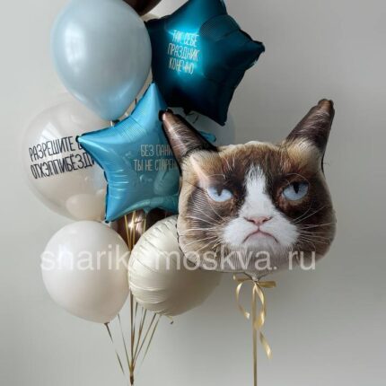 Шар недовольный кот