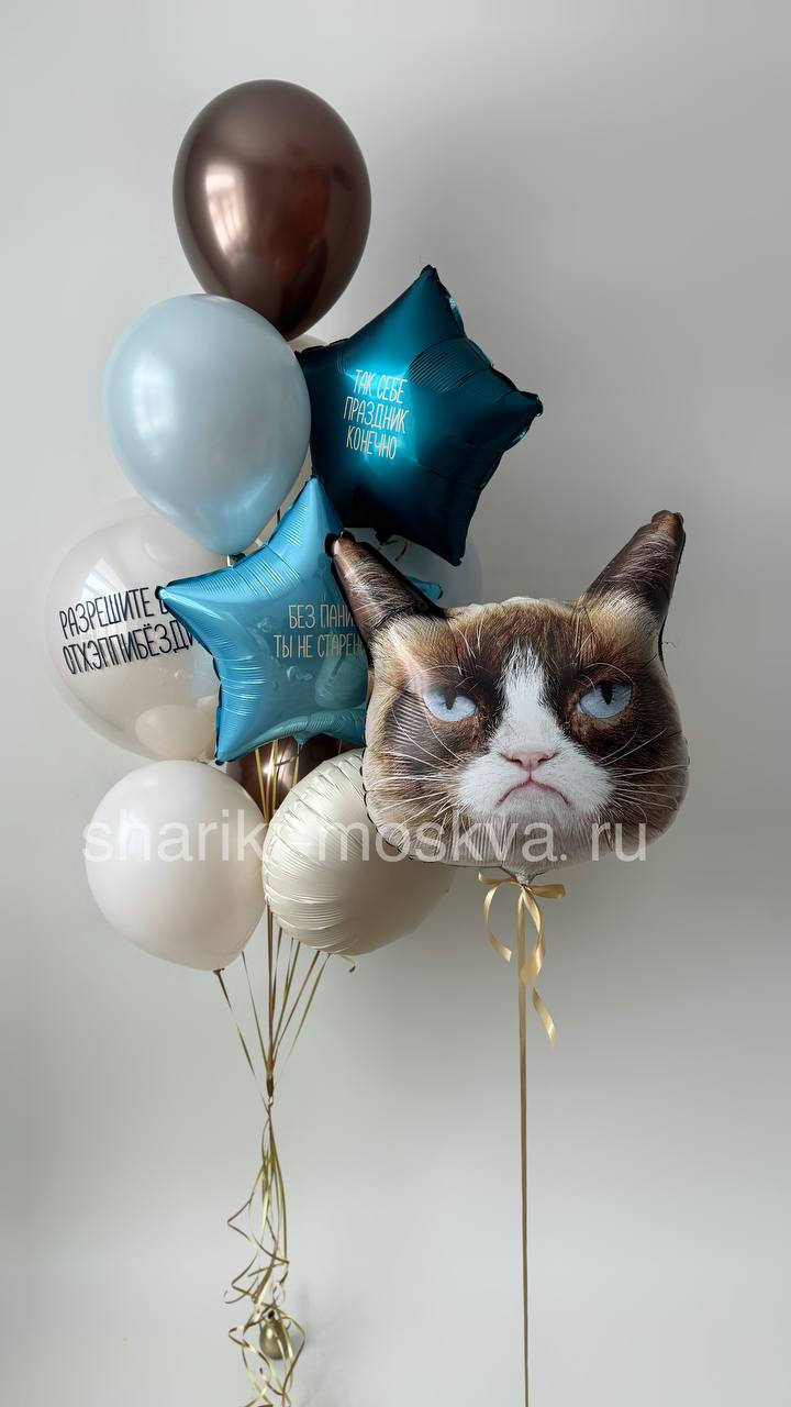 Шар недовольный кот