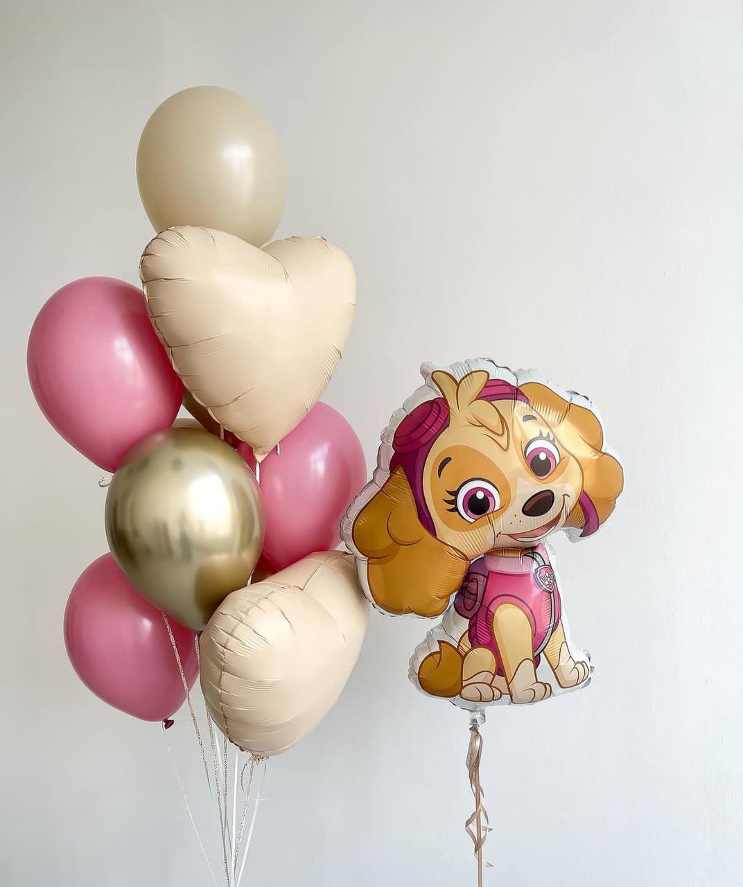 Шар скай щенячий патруль