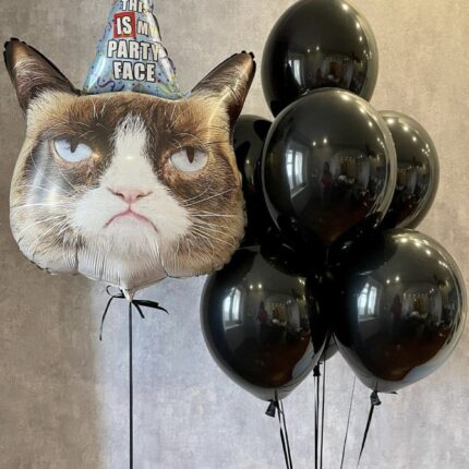 Черные шары и недовольный кот