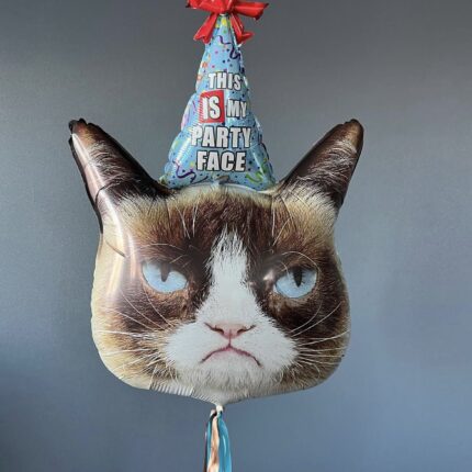 Недовольный кот в колпаке